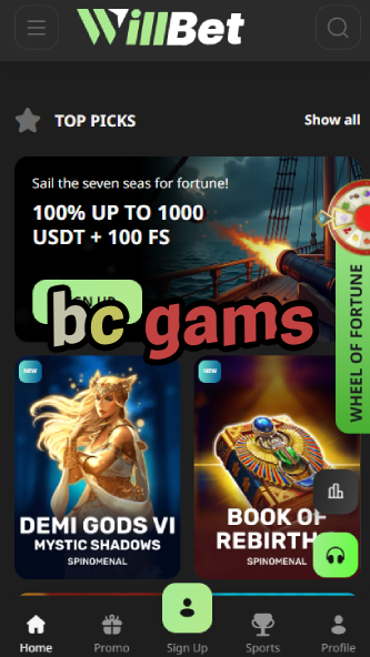 BC Gams - Common Typo-vz72fvrf.com
