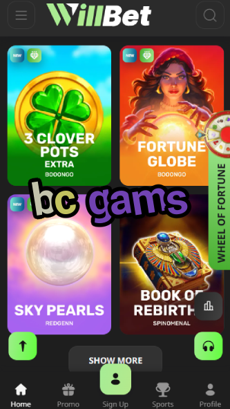 BC Gams - Common Typo-vz72fvrf.com